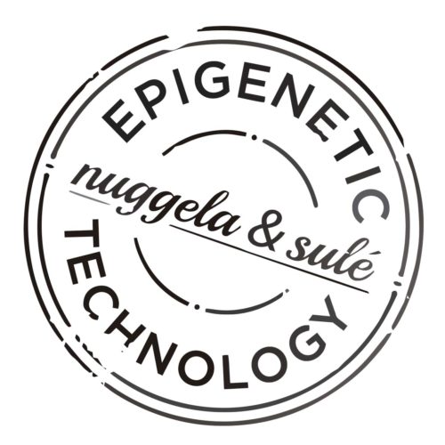 Nuggela & Sulé